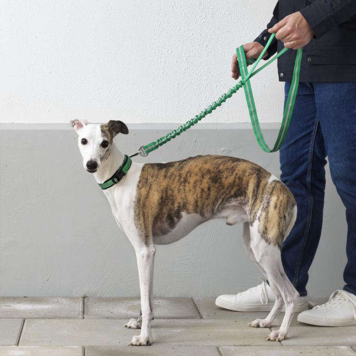 Ikea hot sale dog leash